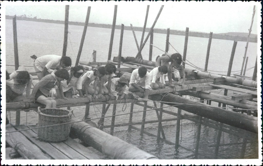 Curious faces peering into the net for the day's catch. Photo: Loo Kin Meng